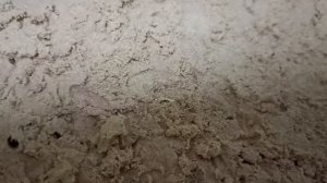 Подборка бесючих ситуаций 🤯