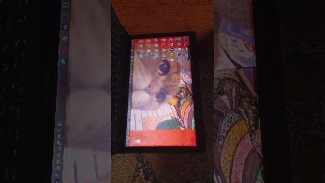 играю в Cs 1.6!!!