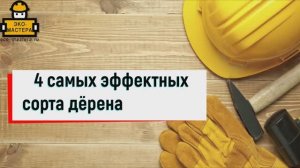 Лучшие зимние сорта дерена