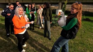 Крым снова удивляет! Зеленый фестиваль на Таврида.АРТ. Толпы счастливых людей.