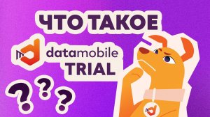 Что такое TRIAL-лицензия DataMobile и почему ей стоит воспользоваться?