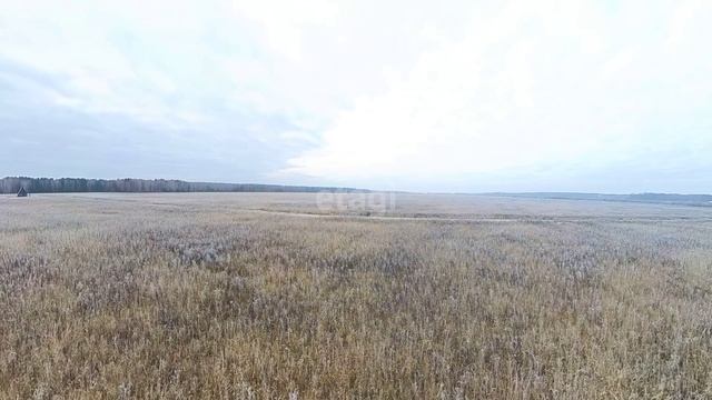 10195173, 10195208 смотреть онлайн