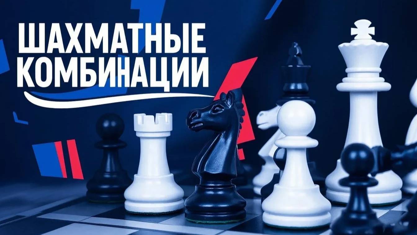 Шахматные комбинации. Серия №6. Часть вторая: Шедевр Цукерторта смотреть онлайн