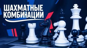 Шахматные комбинации. Серия №6. Часть вторая: Шедевр Цукерторта