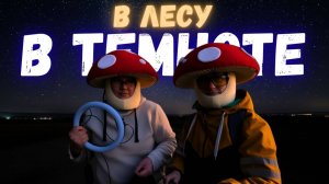 Поехали в ночь на электровелосипедах, чтобы собрать в лесу грибы