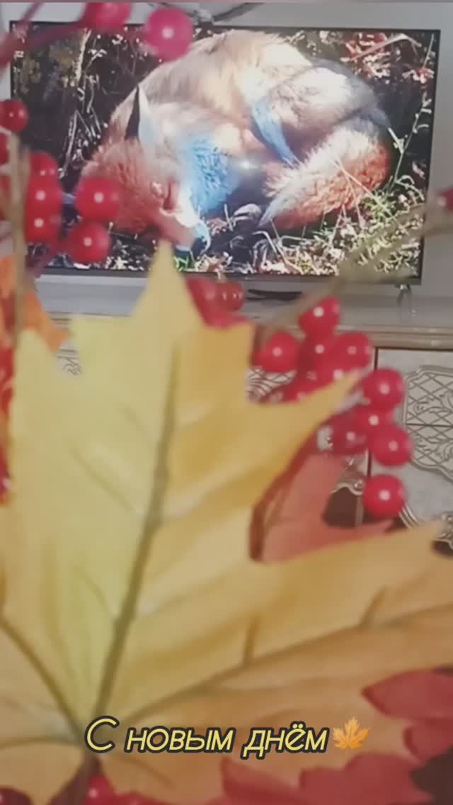 Сначала порядок, потом наряды.. 🤣   #кухня #порядок #мотивациянауспех