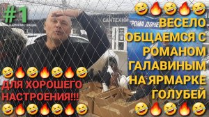 🤣🤣🤣 Для хорошего настроения! Весело общаемся  с Романом Галавиным "Донецким" на ярмарке голубей.