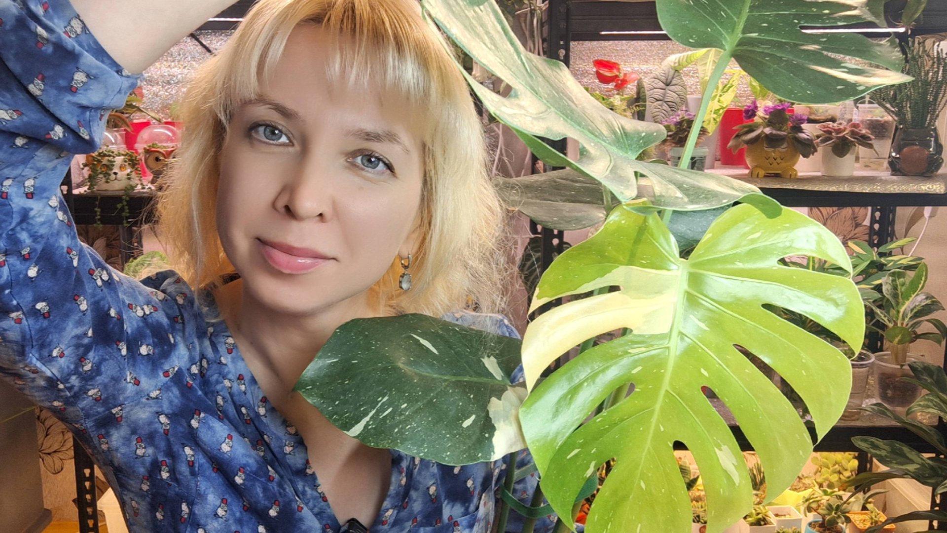 Разгоняем рост черенков с помощью фитильного полива смотреть онлайн