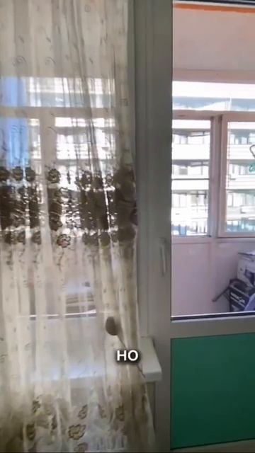 Студия 28 м², 14_16 смотреть онлайн