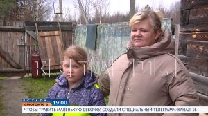 В 19.00 в программе "Кстати": Чтобы травить маленькую девочку создали специальный телеграмм-канал