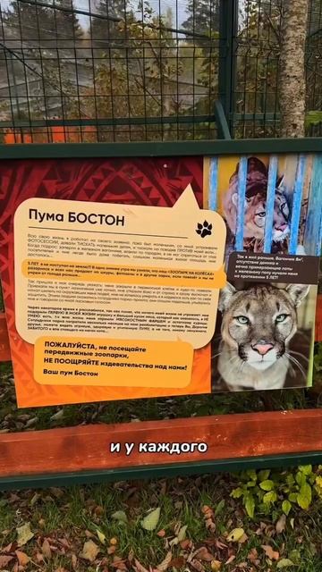 ❗️ Для тех, кто не может жить в дикой природе, это место станет настоящим раем смотреть онлайн