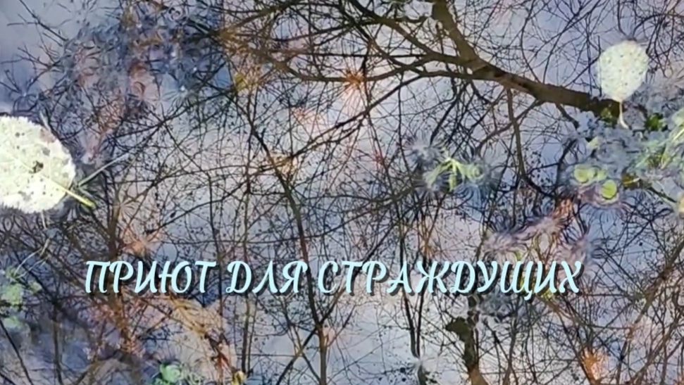 Стихотворение 