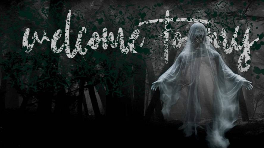 Ghost Watchers смотреть онлайн