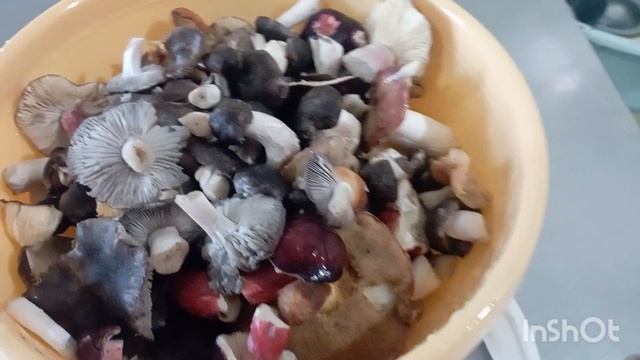 ✅перебрала, замочила, помыла, закатала, пожарила-грибы🍄 смотреть онлайн