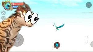 Много багов Wild Kraft