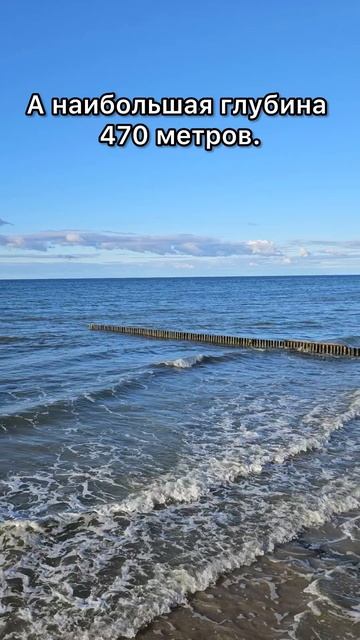 Послайф Калининград