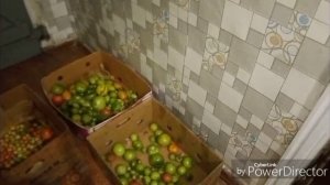 Обзор моих запасов и заготовок.