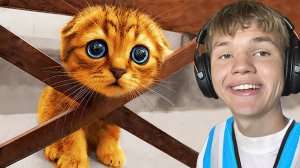 Самые Милые Животные в Мире!