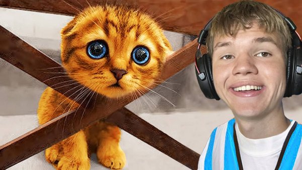 Самые Милые Животные в Мире!