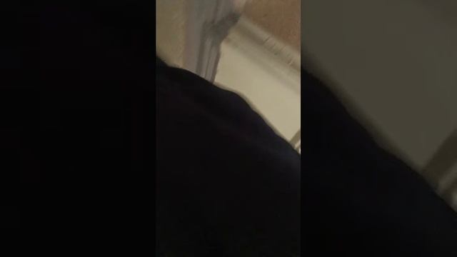 скуф смотреть онлайн