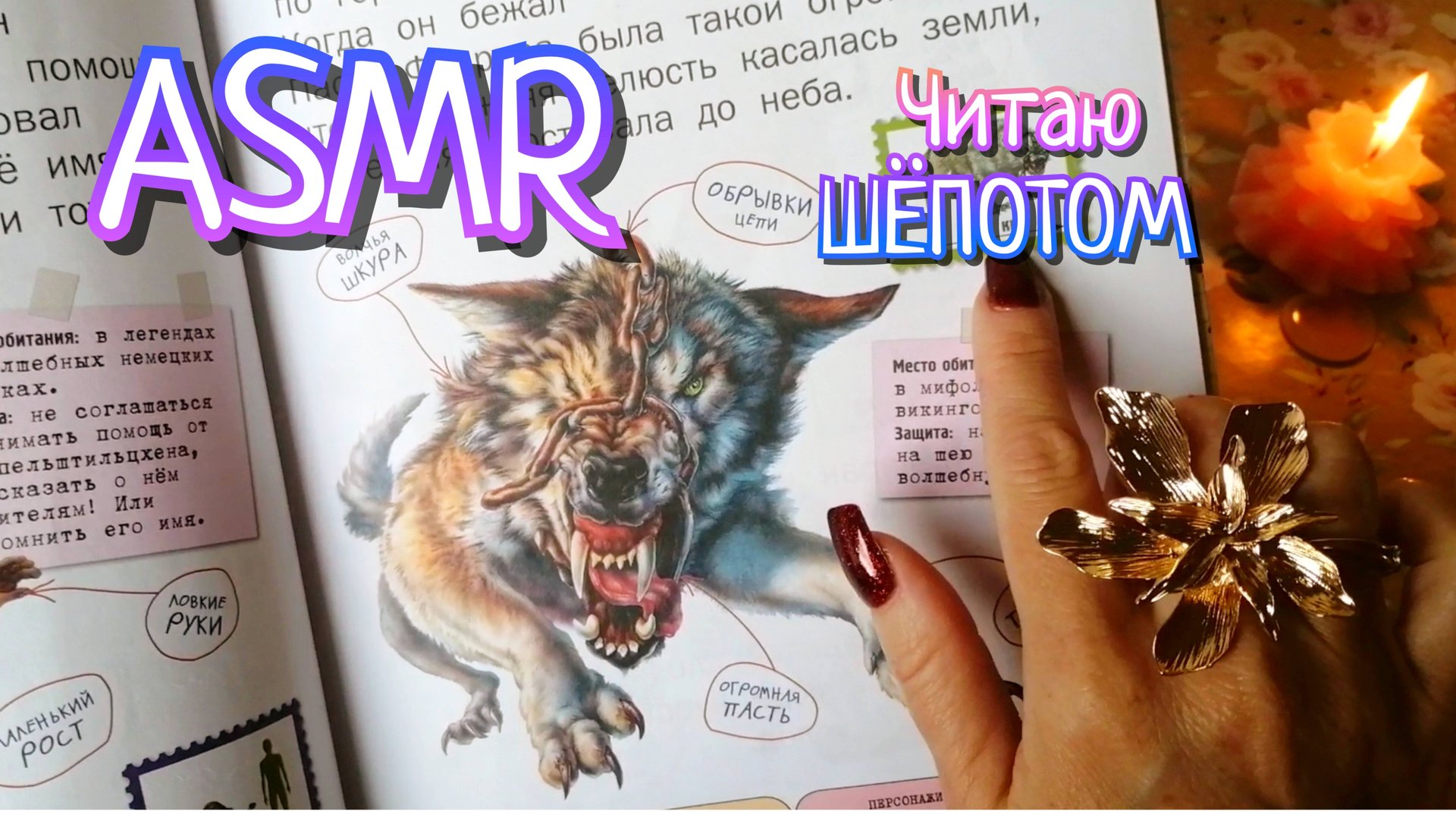 АСМР❤️ЧТЕНИЕ КНИГИ ШЁПОТОМ 😴ДЛЯ СНА /ДЛЯ РАССЛАБЛЕНИЯ #АСМР #АСМРЧТЕНИЕ #asmr