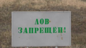 РЫБАЛКА НА ОКУНЯ В ЗАПРЕЩЁННЫХ МЕСТАХ.