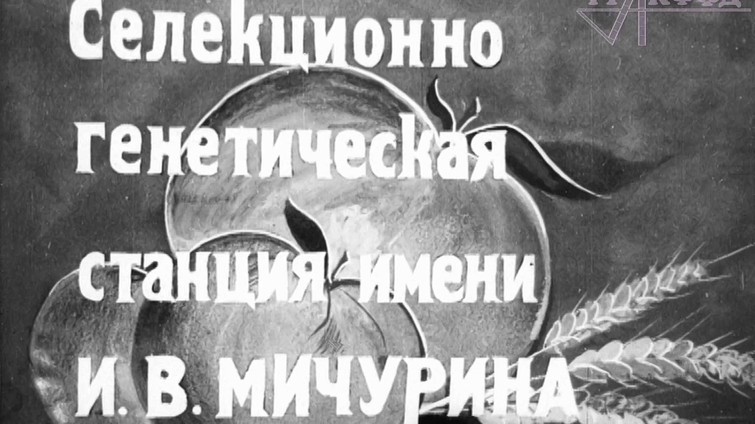 К/ж «Союзкиножурнал» (№ 18, 1932 г.).