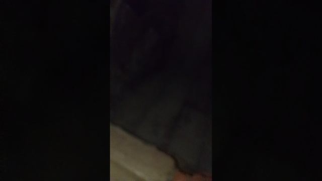 заброшенная деревня