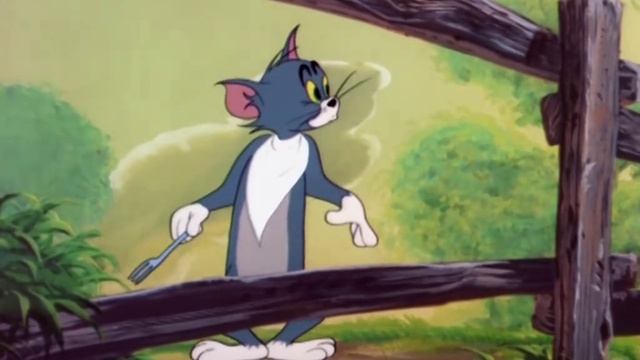 Утёнок / Уточка / 1000178324.mp4