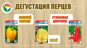 Дегустация перцев-гигантов