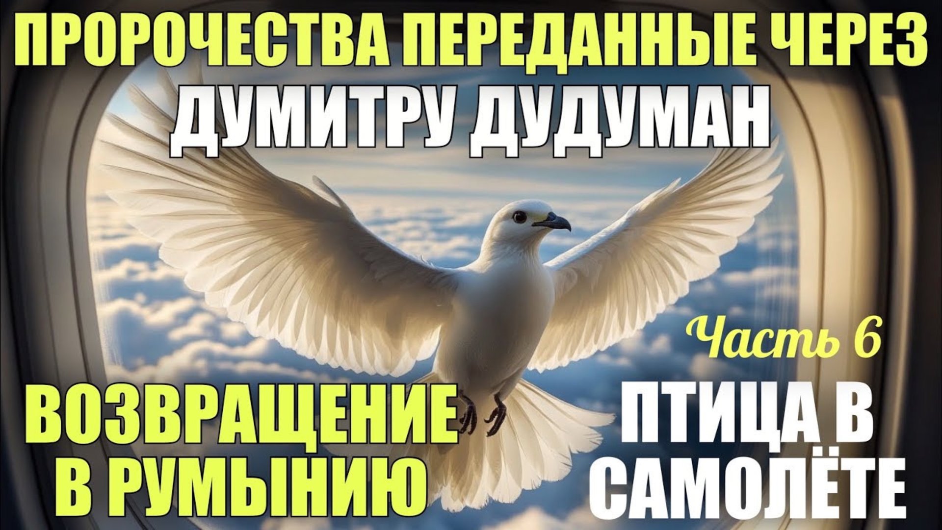 Пророчества, переданные через Думитру Дудуман. Часть 6. ВОЗВРАЩЕНИЕ В РУМЫНИЮ. ПТИЦА В САМОЛЁТЕ. смотреть онлайн