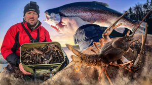 ЗАГАДОЧНОЕ ЛЕСНОЕ ОЗЕРО, ОТКУДА СТОЛЬКО РАКОВ И ФОРЕЛИ , ТАКОГО РЕЗУЛЬТАТА НИКТО НЕ ОЖИДАЛ!!