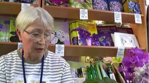 ДФ. Стрептокарпус это проще, чем кажется. О.Кособокова