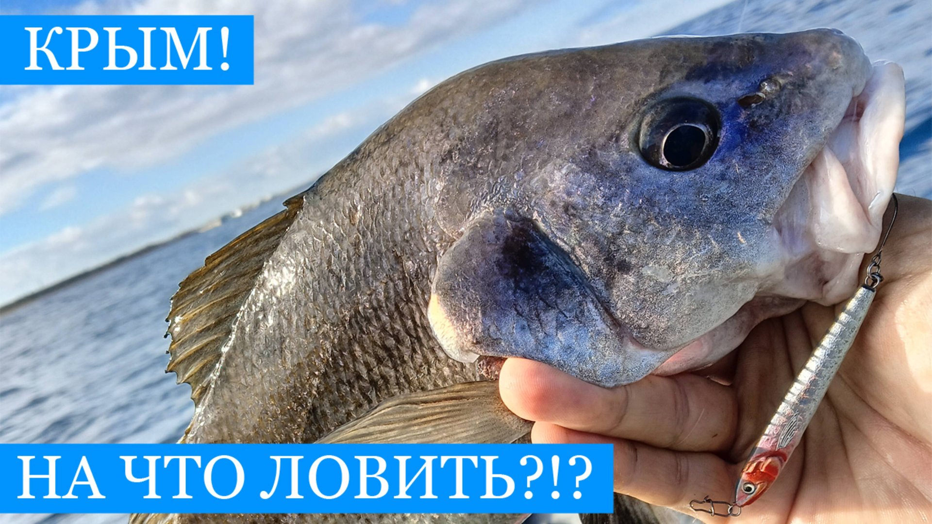 Баракури, пилькера, стрейч - или натуральная наживка? Осенняя рыбалка в Севастополе! смотреть онлайн