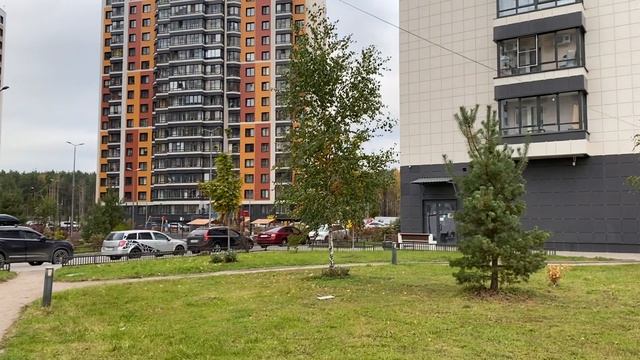 Цвета Радуги