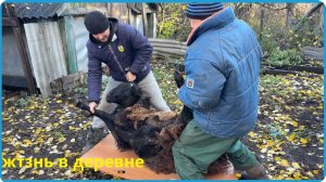 ПРИШЛО ВРЕМЯ ДОВОДИТЬ ДО УМА, И ОНО ТОГО СТОИТ, ЖИЗНЬ В ДЕРЕВНЕ