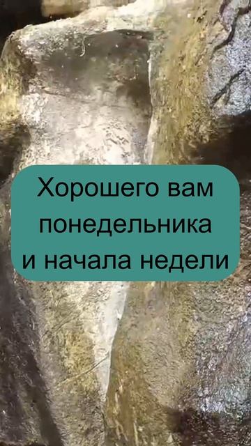 Вы молодец. #прикол #путин #понедельник смотреть онлайн