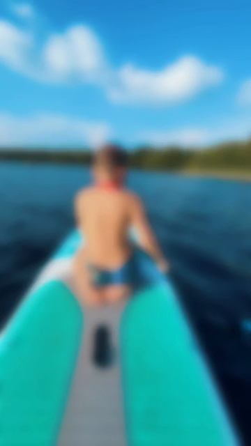 🐬🏄♂️🌊🌊🌊