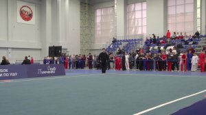Кубок России по ушу. Турнир по ушу «Связь поколений» 2025 г.