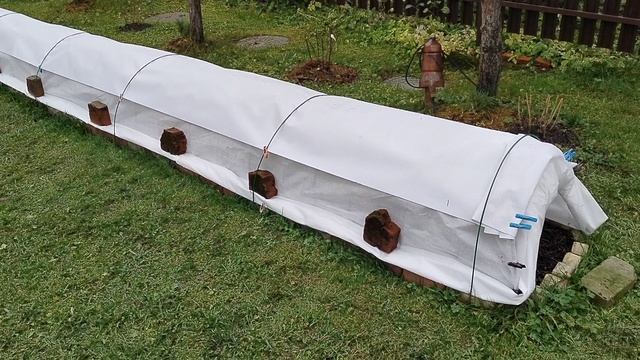 Зажимы на агроволокно и дуги из арматуры для укрытия роз на зиму. Октябрь 2025 смотреть онлайн