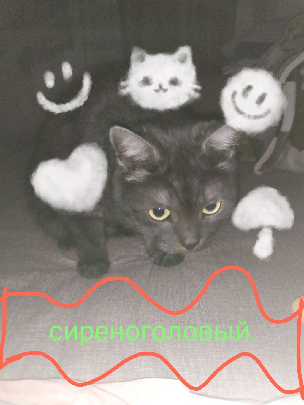 часть 41 кот! :) смотреть онлайн