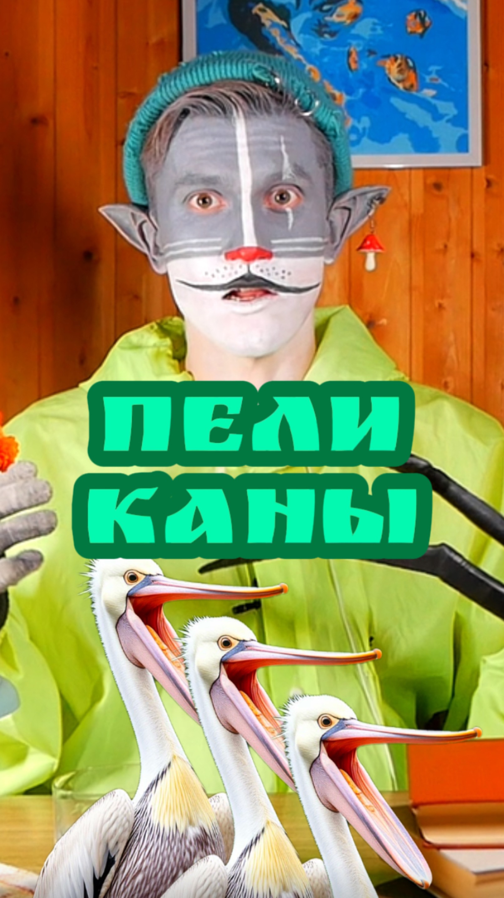 Кот Учёный и Пеликаны 🐤🪽 смотреть онлайн