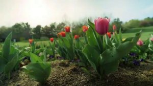 Сборник женских песен, красивые женские песни, нежные песни женщин, добрые песни