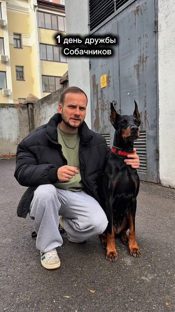 Есть такое ? 😅 смотреть онлайн