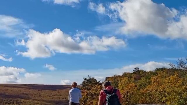 Каралезская долина. 25.10.25. смотреть онлайн