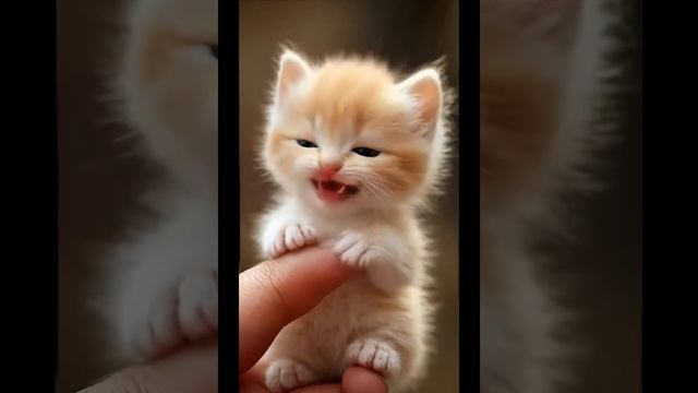 Сашулька смотреть онлайн