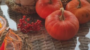 Утренняя прогулка.Комнатные цветы занесла на веранду. Осенний декор!!!