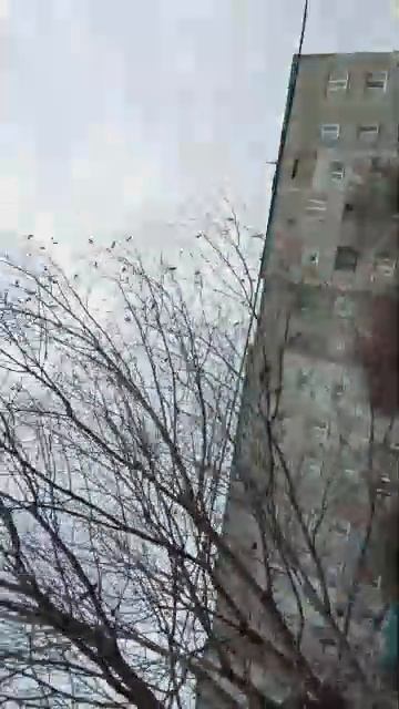 шрд смотреть онлайн