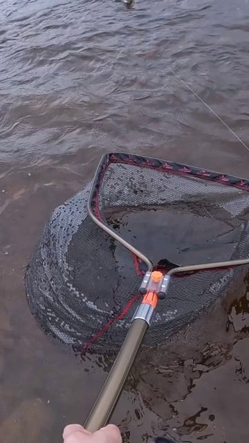 Новый подсак и Шустрая Щука! смотреть онлайн