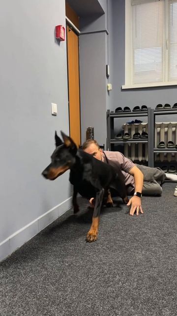 У всех так ? 😔 смотреть онлайн